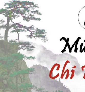 Musica chi kung